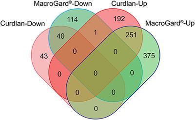 Studies Into β-Glucan Recognition in Fish Suggests a Key Role for the C-Type Lectin Pathway